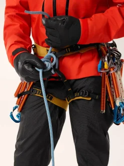 AR-395a Harness M's