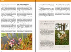 Nuuksion retkeilyopas - Luonto, reitit ja kohteet