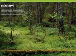 Nuuksion retkeilyopas - Luonto, reitit ja kohteet