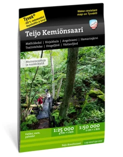 Teijo Kemiönsaari