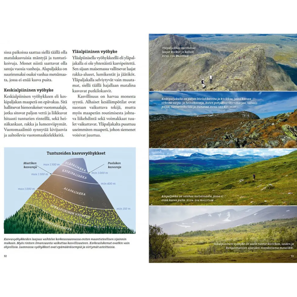 Vaeltajan Tunturikasvio